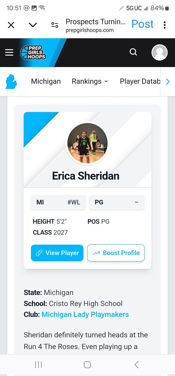 michiganladyplaymakers tweet media