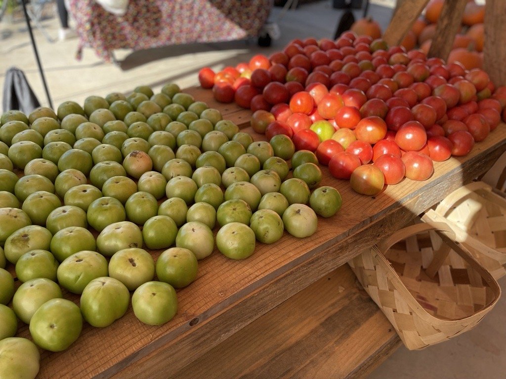 GeorgiaAHA's tweet image. Tomato? Tomato. It doesn’t matter how you say it, tomatoes are good for the heart. 🍅 So whether you slice it, dice it or even drink it, #AddColor to your diet with tomatoes. (Beware of added sodium if you go for the canned or liquid options.) 

What is your favorite tomato dish?