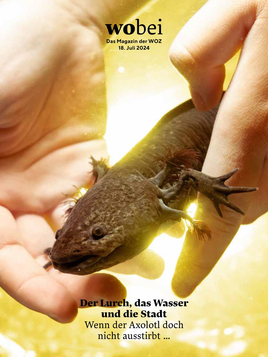 Wochenzeitung's tweet photo. … dem Magazin «wobei».

(2/2) https://t.co/H0hBuIXjQn