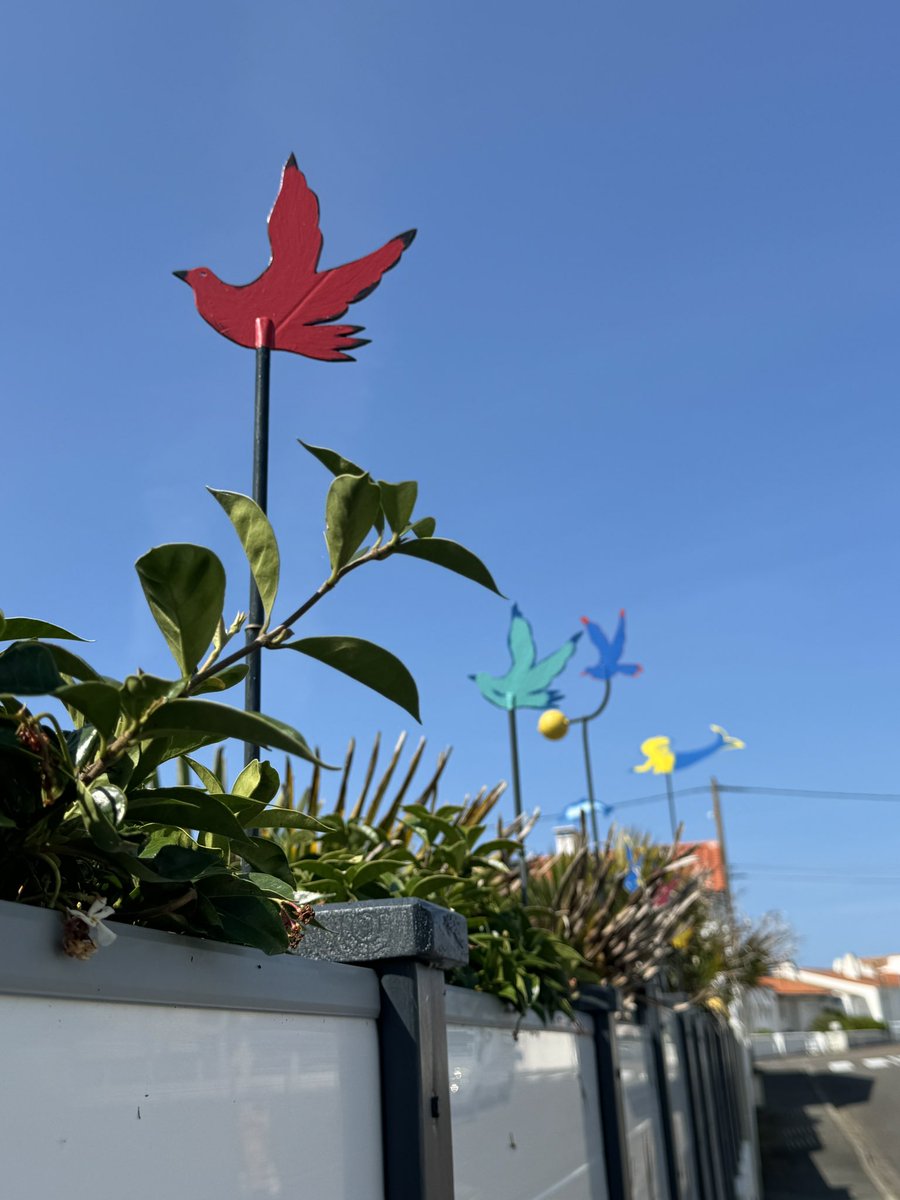 lessables's tweet photo. Clichés de La Chaume, berceau de la cité des Sables d’Olonne sous un beau soleil en ce mercredi 17 juillet 2024 ☀️ #photooftheday #destinationlessablesdolonne #nofilter #vendee https://t.co/VcICNuBkmq