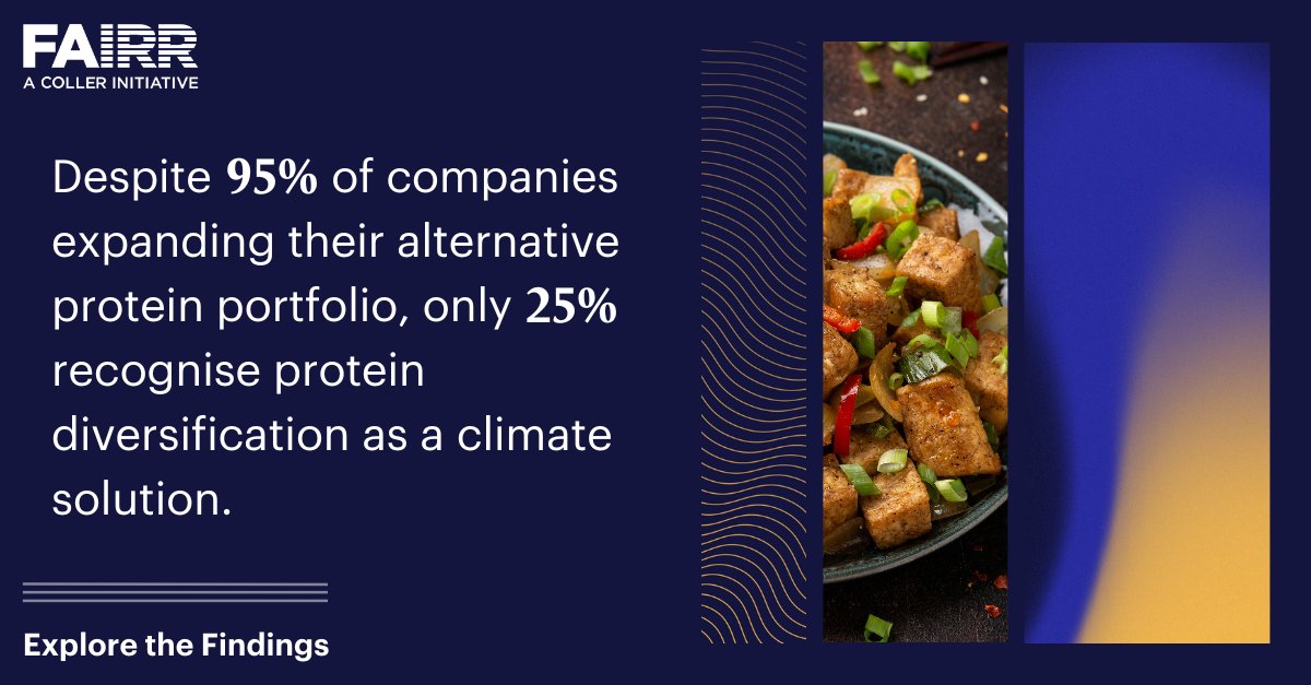 LAUNCH: FAIRR is pleased to share ‘Shifting Diets’, a report assessing if the world’s largest food retailers are enabling the move towards more sustainable diets 🌱

It finds that companies are overlooking #AlternativeProteins as a tool to decarbonise ⬇️

fairr.org/resources/repo…