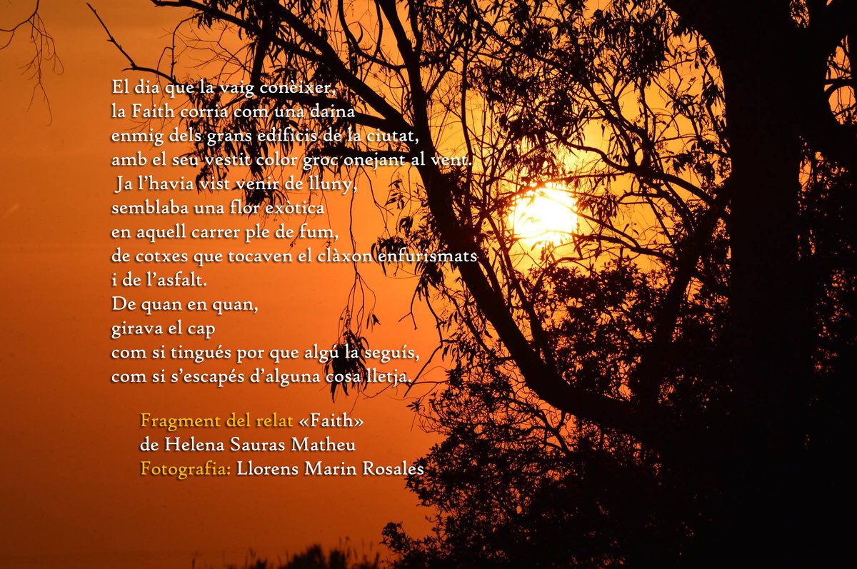 rodoreda29's tweet photo. #relatencatala #inici #faith #fragment https://t.co/LnqZvR37AO
