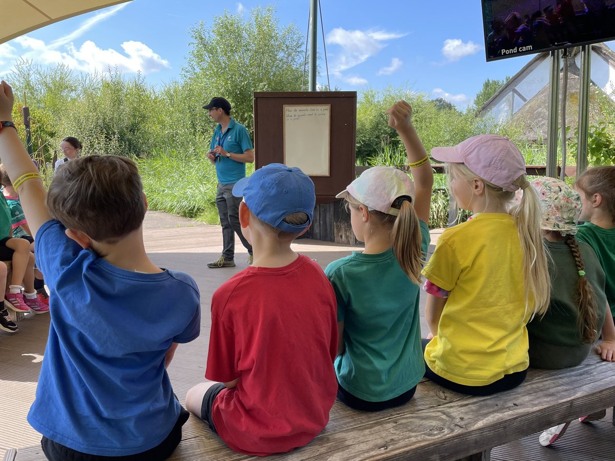 sheen_mount's tweet photo. Doves have had a brilliant day out at the Wetlands! https://t.co/MKFpz3Romv