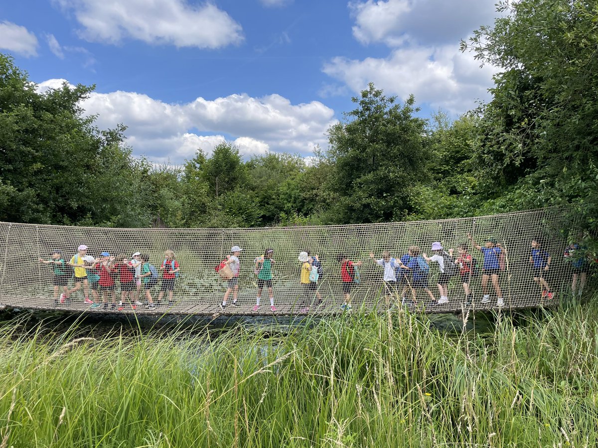 sheen_mount's tweet photo. Doves have had a brilliant day out at the Wetlands! https://t.co/MKFpz3Romv