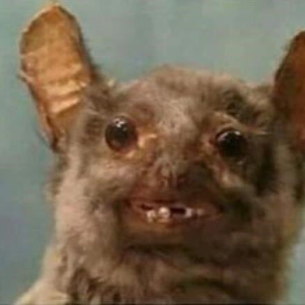 CaadeOKC's tweet photo. “IlloJuan y LaMasi lo han dejado. Ya no creo en el amor” https://t.co/kyES8kNrZT
