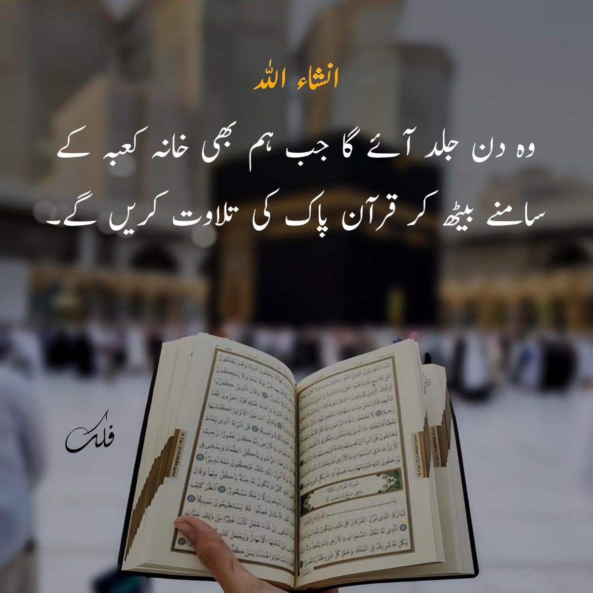 🅼🆁.🆇🦄 Sajjad Shah (@ramborio38) on Twitter photo 