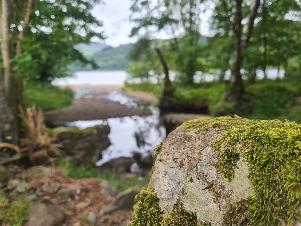 Littletheorem's tweet photo. On holiday, chilling by Loch Earn. Tea and cake at the Village Store in St Fillans, a walk by the water to get the baby to sleep, then a productive half hour of throwing pebbles in the loch with my 3 year old, trying to achieve the perfect "plop". Time well spent. https://t.co/A7KgAUdYlZ