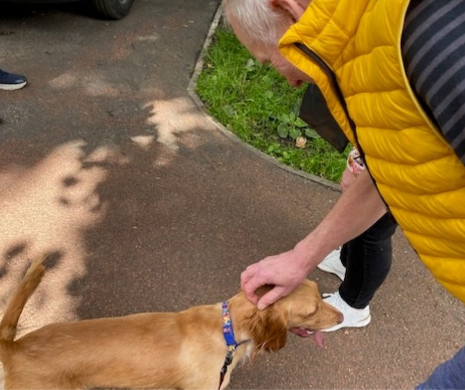 What a fabulous walk at Jesmond Dene. Everyone enjoyed a walk in the forrest and a view of the waterfall.