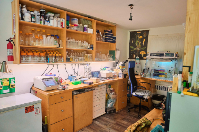 davidtlang's tweet image. &quot;I am a huge proponent of do-it-together biology, not do-it-yourself.&quot;

Photos and interview with @ATinyGreenCell in @AsimovPress.

Worth updating your mental model on amateur biology. There&apos;s an important future being crafted in this spare bedroom lab.