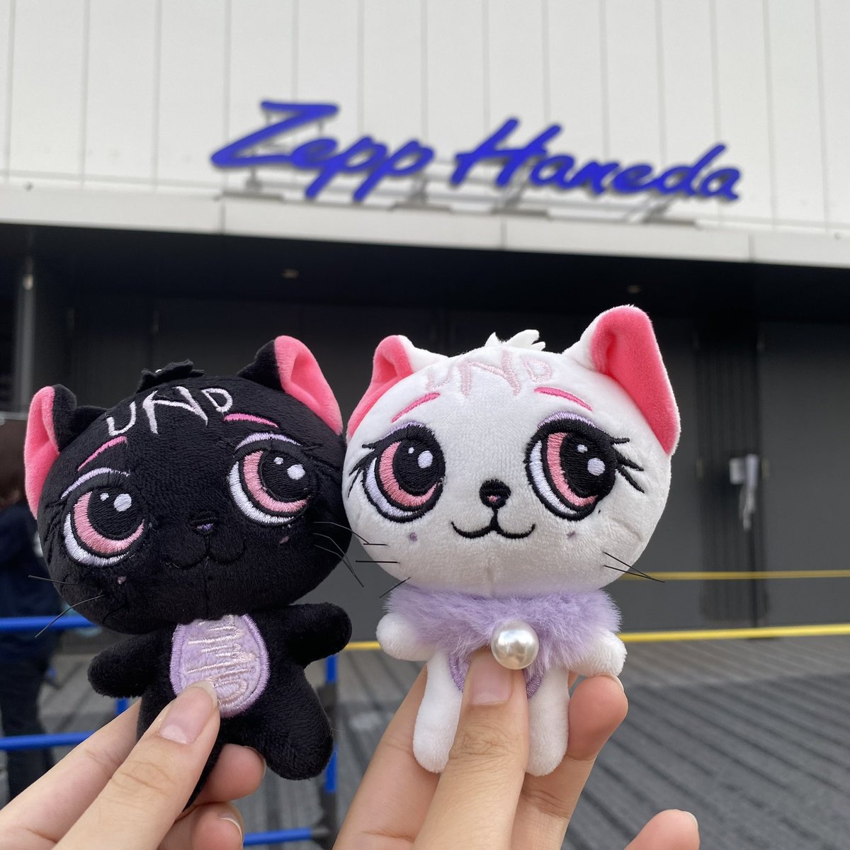uno_atae0716's tweet photo. 本当に最高なライブでめっちゃ近くて幸せすぎて東京から新潟までの帰り道が寂しい🥺宇野ちゃんの曲って元気でるし寄り添ってくれてるような気持ちになるからほんとに宇野ちゃんと宇野ちゃんの歌に出会えて幸せ💕これからもずっと推し続けたい💜
#宇野実彩子
#宇野ちゃん
#iwish 
@uno_uno_0716 https://t.co/glo8OkDw6R