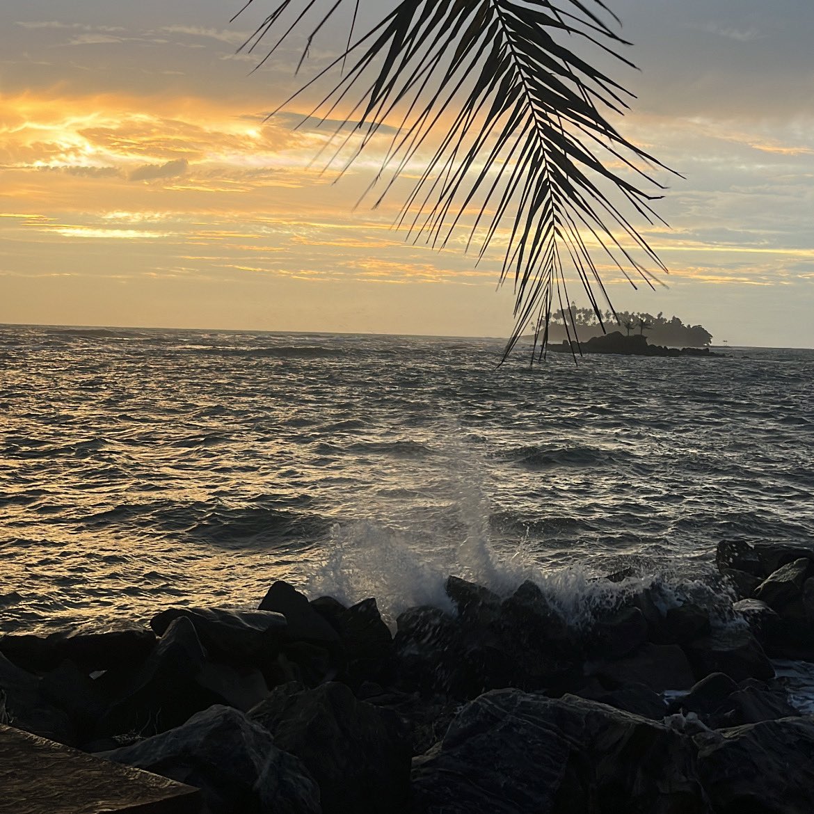 𝗔𝗦𝗠 tweet media