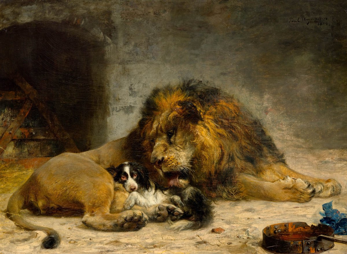 Jean Goy tweet media