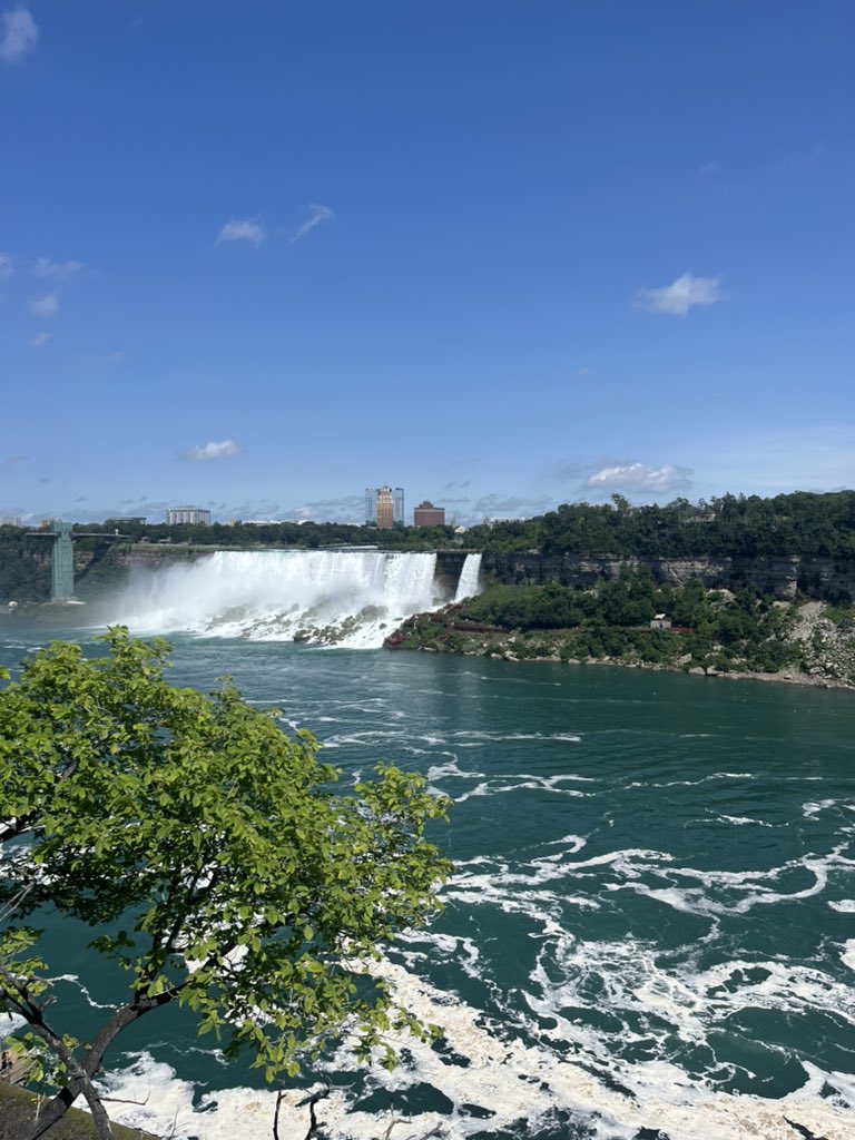 michael dewison tweet media