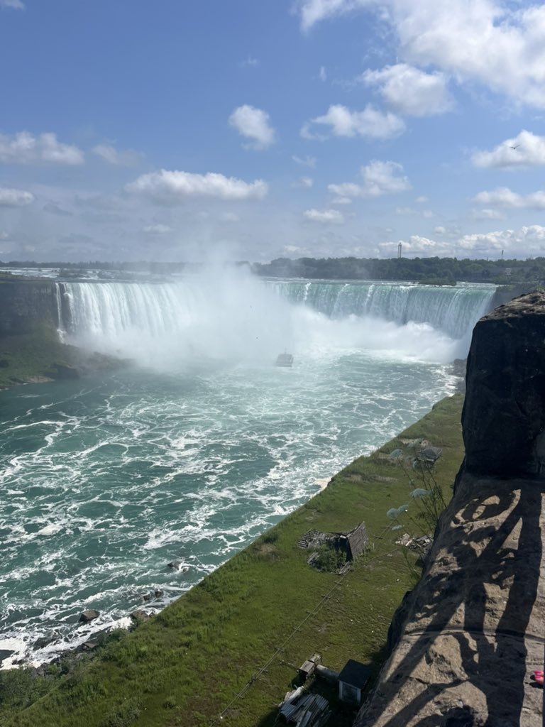 michael dewison tweet media