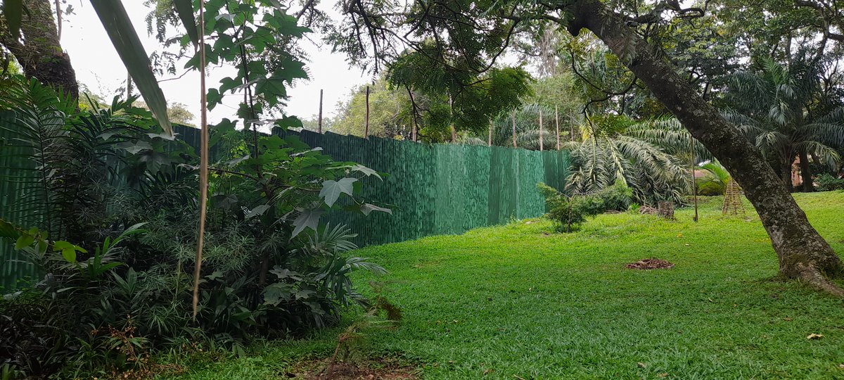 Lweza Training and Conference Centre tweet media