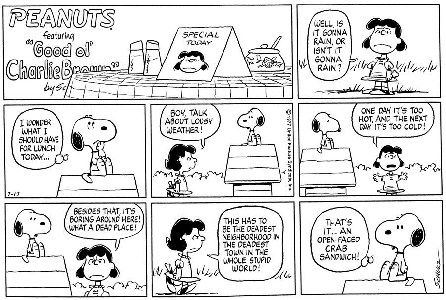 snoopy and friends tweet media