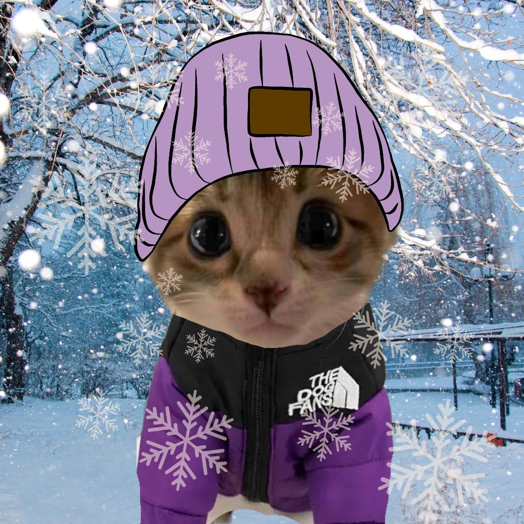 Eden \o/ tweet media