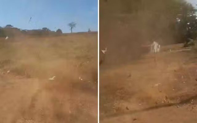 g1goias's tweet photo. Produtor rural é ‘engolido’ por redemoinho enquanto filmava fenômeno em Goiás; vídeo ==> https://t.co/cESdstEglu #g1go #meioambiente #redemoinho #Itumbiara #produtorrural https://t.co/nZT6hA13zk