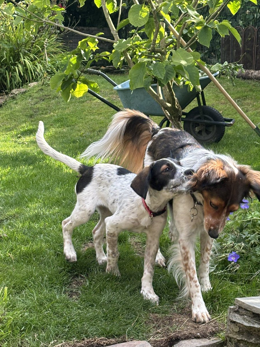 RubyRubes tweet media