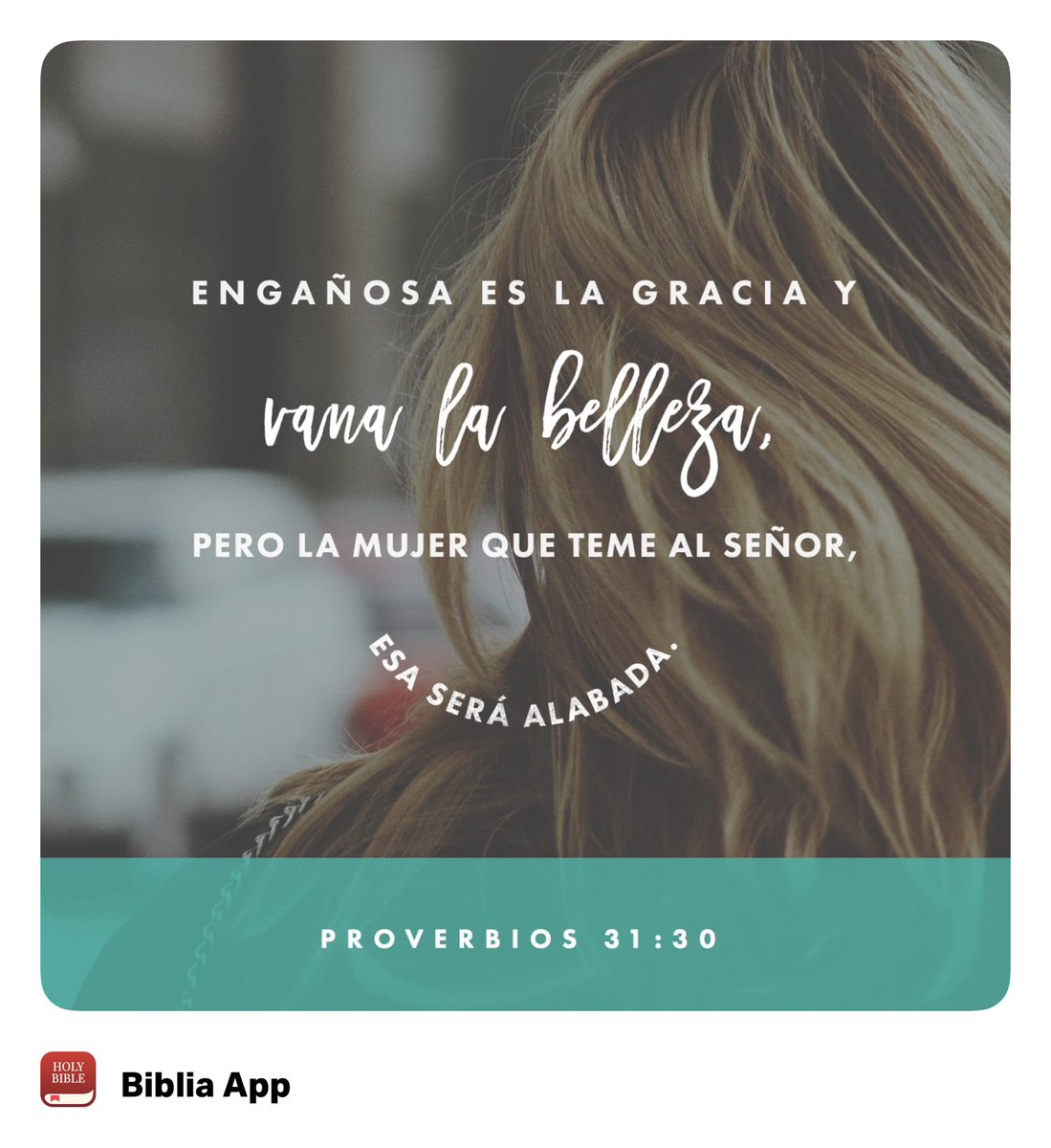 SdVcln's tweet photo. https://t.co/lJeh0FqUD1