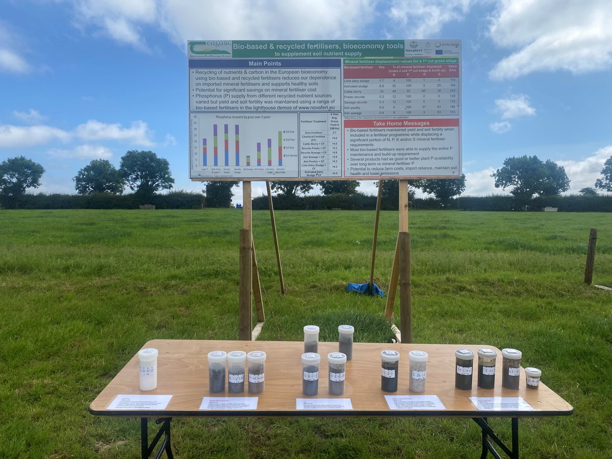 Donal Kinsella tweet media