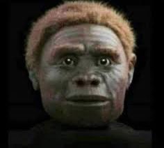 coolkid 🚩☭ tweet media