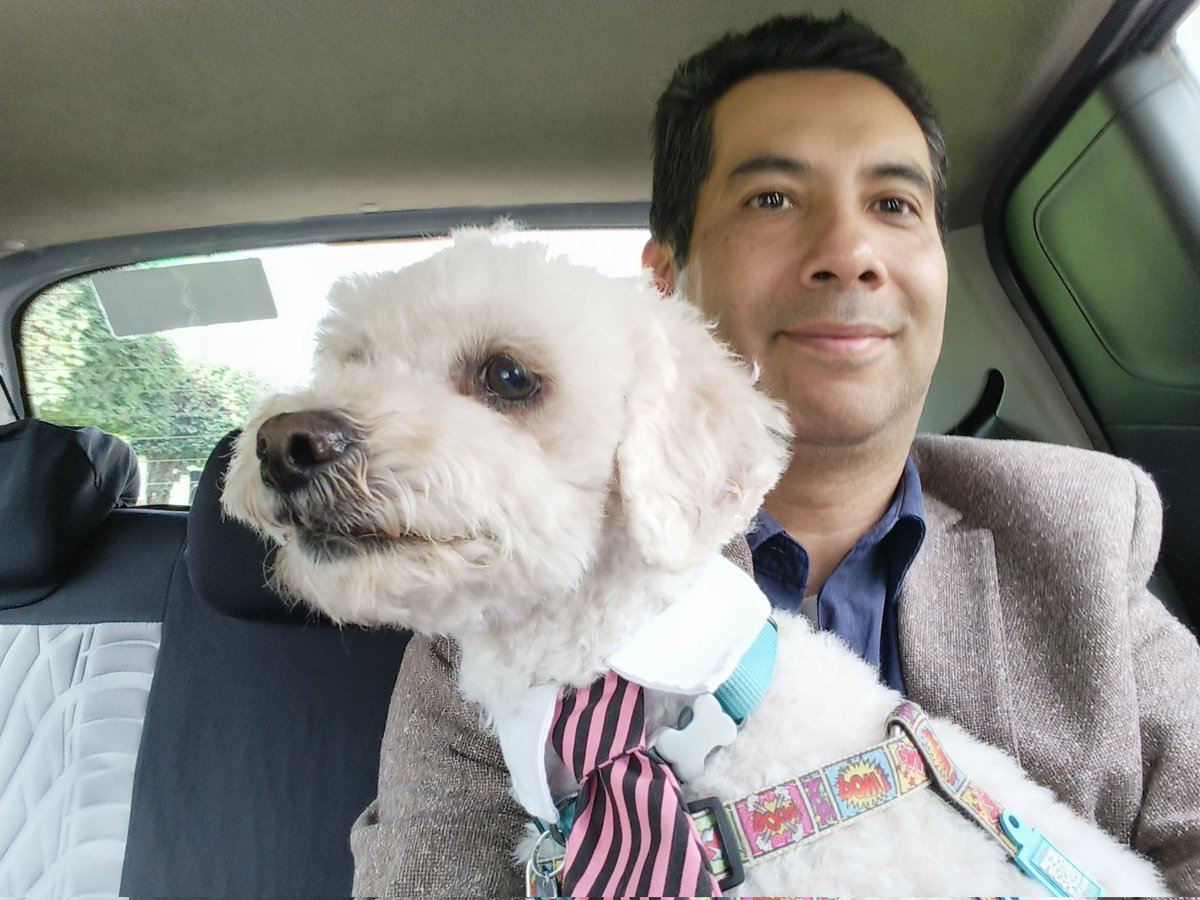 OcCastilloC's tweet photo. Voy en camino a la presentación en México de #UberPets con @Uber_MEX hoy Massimo me acompaña y disfruta del viaje. https://t.co/qdn9rXCZz1