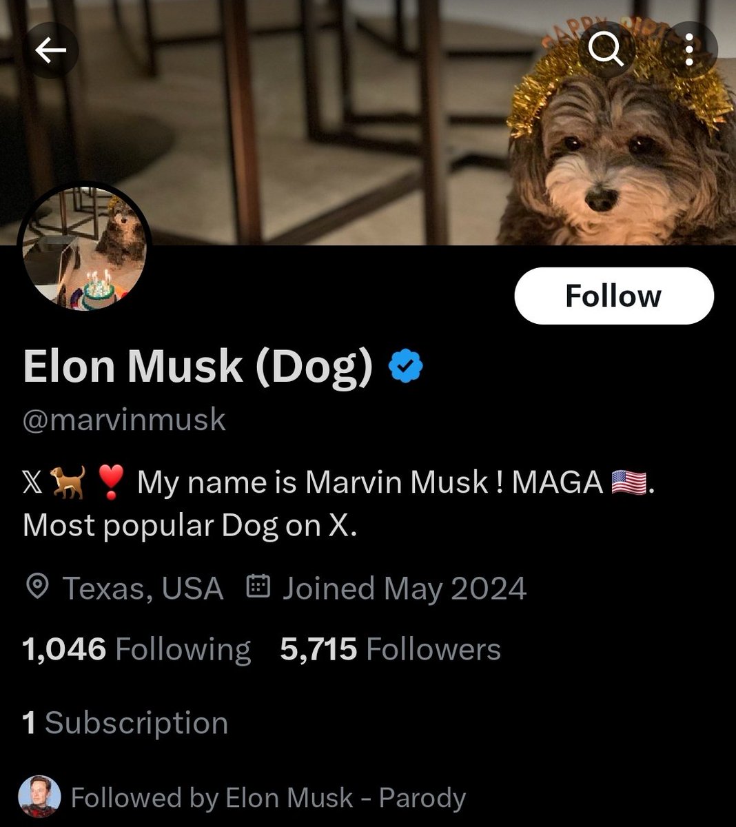 lookizz_'s tweet image. Wahala ooo even Elon musk dog dey verified