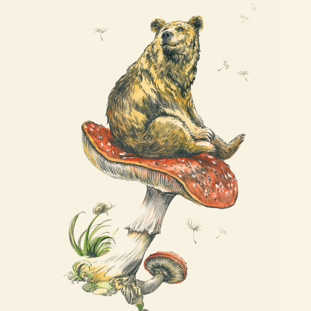 Roger la Borde tweet media