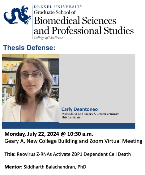 DrexelMCBG (@drexelmcbg) on Twitter photo MCBG Thesis Defense 🧬🧬🧬
Carly DeAntoneo, PhD candidate <a href="/DrexelMcbg/">DrexelMCBG</a>
Drexel MCBG Program
Monday, July 22, 10:30 AM
Geary A, New College Building
Reovirus Z-RNAs Activate ZBP1 Dependent Cell Death
Mentor: Siddharth Balachandran, PhD <a href="/FoxChaseCancer/">Fox Chase Cancer Center</a> MCBG Thesis Defense 🧬🧬🧬
Carly DeAntoneo, PhD candidate <a href="/DrexelMcbg/">DrexelMCBG</a>
Drexel MCBG Program
Monday, July 22, 10:30 AM
Geary A, New College Building
Reovirus Z-RNAs Activate ZBP1 Dependent Cell Death
Mentor: Siddharth Balachandran, PhD <a href="/FoxChaseCancer/">Fox Chase Cancer Center</a>