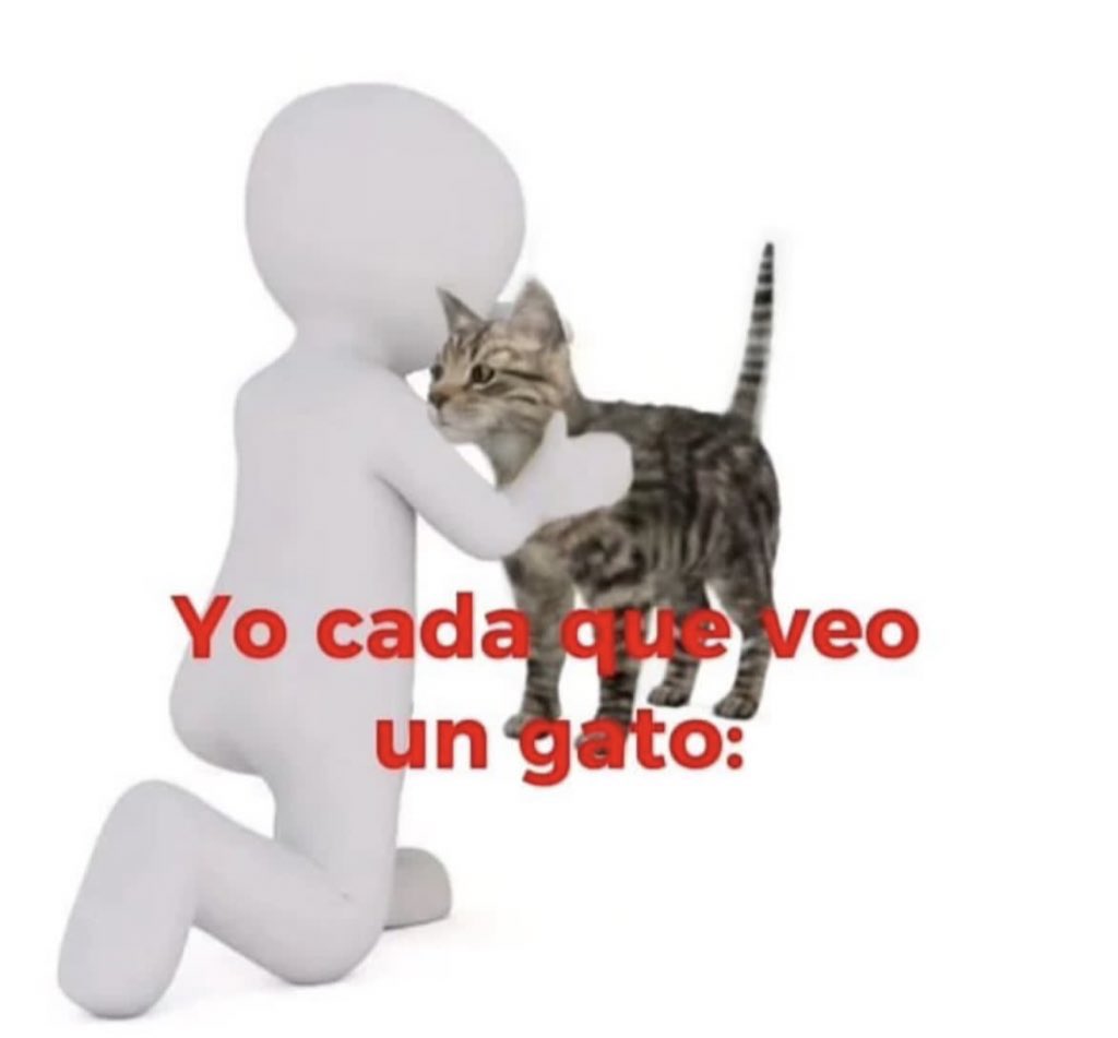 skereunpesado's tweet photo. https://t.co/SPhFDOKRAs