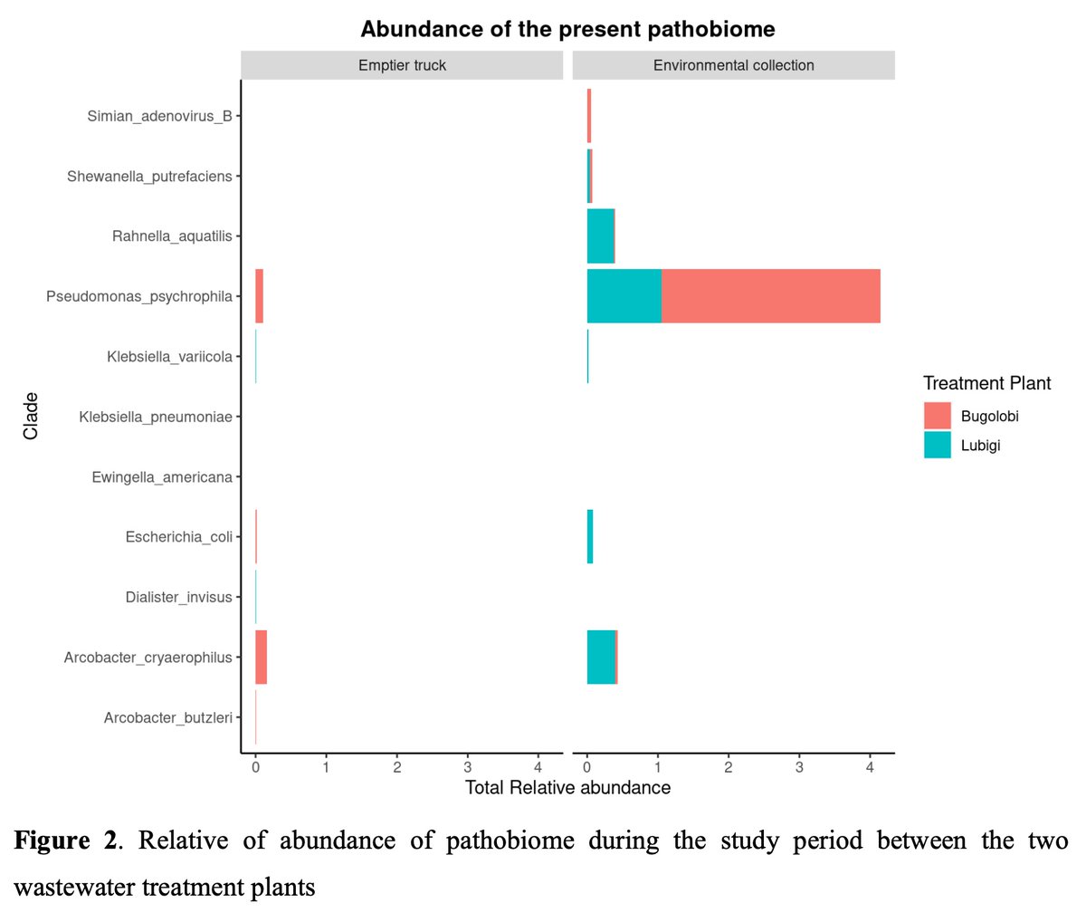 GeraldGmboowa's tweet photo. We present our paper on metagenomics insights into the microbial resistome & virulome composition of Kampala’s wastewater during wet & dry seasons (https://t.co/tDiHCf7mGp). Pseudomonas psychrophila, a fish pathogen, was the most prevalent, while Klebsiella pneumoniae was the least prevalent. We identified 23 AMR genes & 29 virulence factors, with a predominant association with bacterial motility. All virulence factors were found within Pseudomonas aeruginosa. The utilization of shotgun metagenomics in sewage analysis is crucial for ongoing monitoring of microbial diversity & antimicrobial resistance.