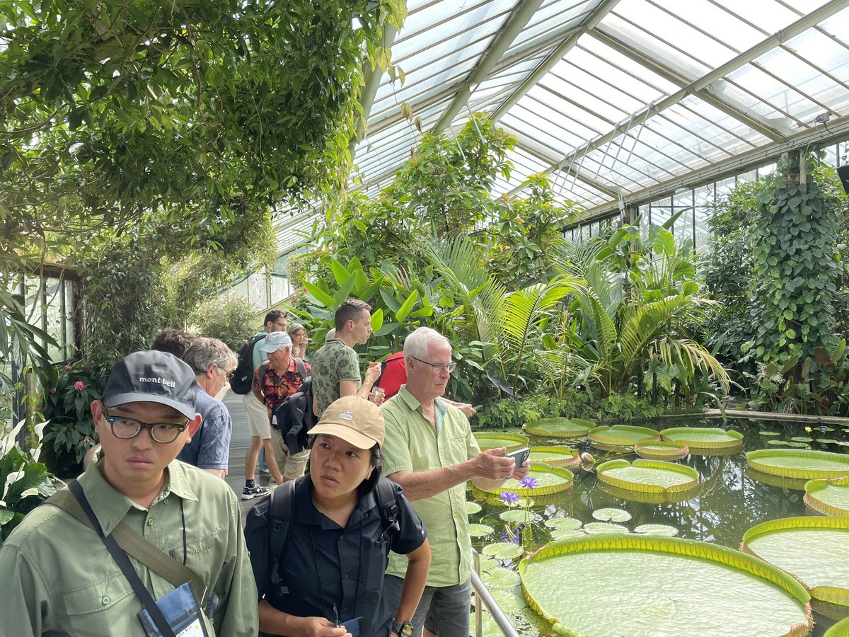 WaterGardenSol's tweet photo. Enjoying the gardens with the #IWGS24
Group at Sezincote, Wisley, and Kew amongst others. Great chatter and shared expertise from visitors and garden staff @TheIWGS https://t.co/0jJB5Ipd3C