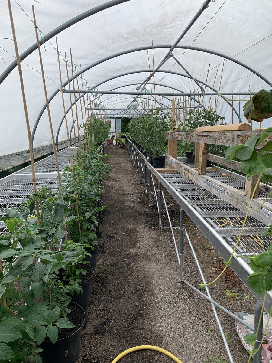 Dr Richard Lewis MBE DL FRCGP (@highsheriffmg24) on Twitter photo BLeaf <a href="/BryngarwPark/">Bryngarw Country Park</a>, work-based initiative for adults with learning disabilities -privilege to have tour of nursery & garden centre and meet dedicated staff & enthusiastic trainees. Opportunities for joint working with <a href="/swpolice/">South Wales Police</a>, <a href="/BridgendTownCC/">Bridgend Town CC</a> <a href="/BridgendCBC/">Bridgend CB Council</a> Diolch Pawb. Pôb lwc! BLeaf <a href="/BryngarwPark/">Bryngarw Country Park</a>, work-based initiative for adults with learning disabilities -privilege to have tour of nursery & garden centre and meet dedicated staff & enthusiastic trainees. Opportunities for joint working with <a href="/swpolice/">South Wales Police</a>, <a href="/BridgendTownCC/">Bridgend Town CC</a> <a href="/BridgendCBC/">Bridgend CB Council</a> Diolch Pawb. Pôb lwc!