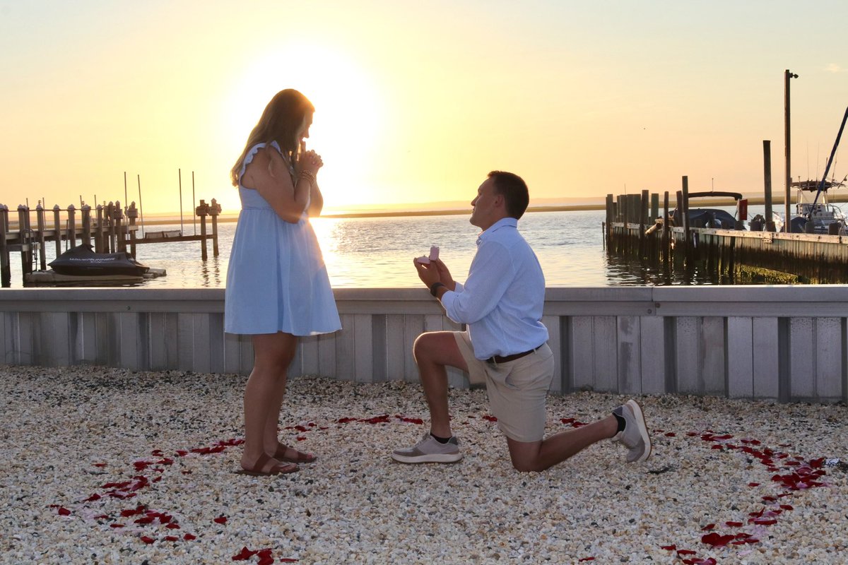 Dominic Magrini tweet media