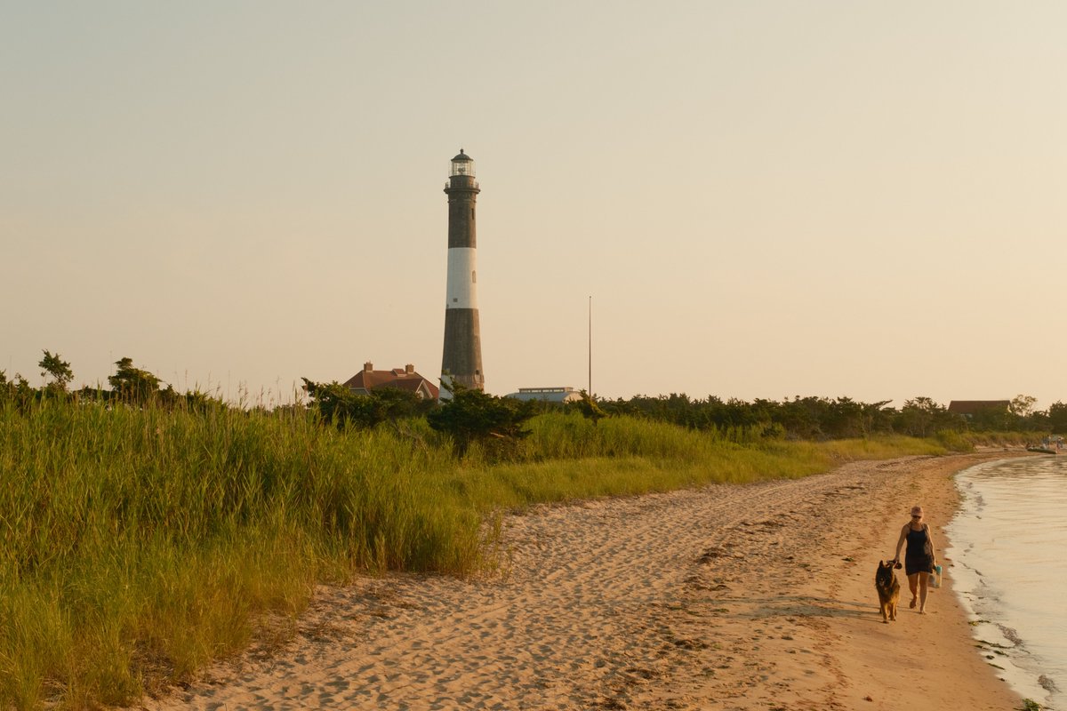 Jon Bilous tweet media