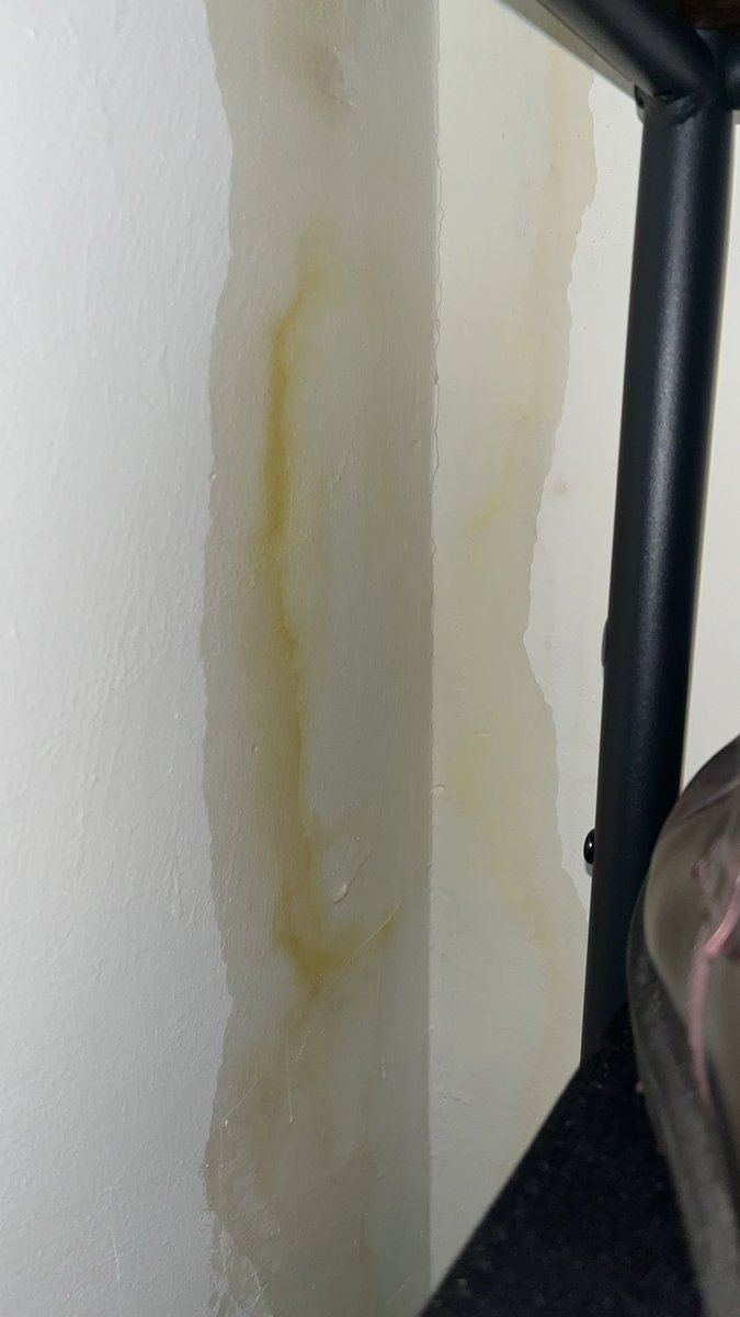 TupacInti's tweet photo. Are @wfcouncil and @morgansindall going to come and visit me at the hospital when I have a lung infection from the mold that they’ve failed to fix for the last 5 weeks? https://t.co/dtZ6HpROBh