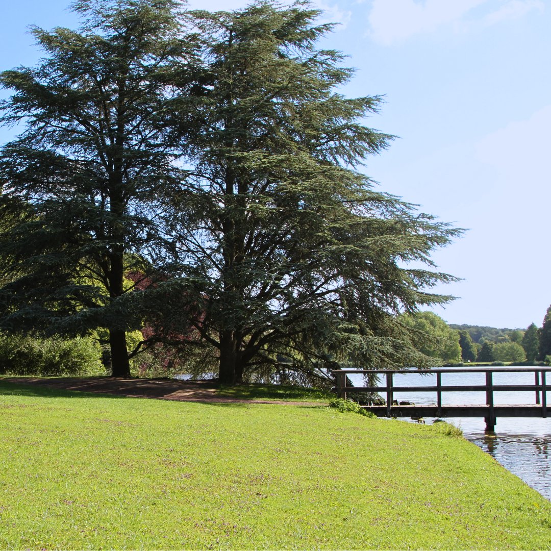 How lucky are we to have this gem next to us? Tervuren Park is looking absolutely stunning at the moment, especially after all the rain we've had recently.  

#OutdoorLearning #TervurenPark #ParkLife #BritishSchool #InternationalSchool