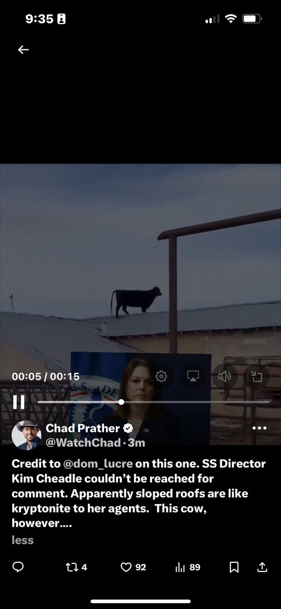 TrumpTrn24's tweet image. What “slope”

And if a COW can be on a roof; I think a SS agent lying down can too! Most absurd excuse ever by @SecretService 

#CheatleMustResign