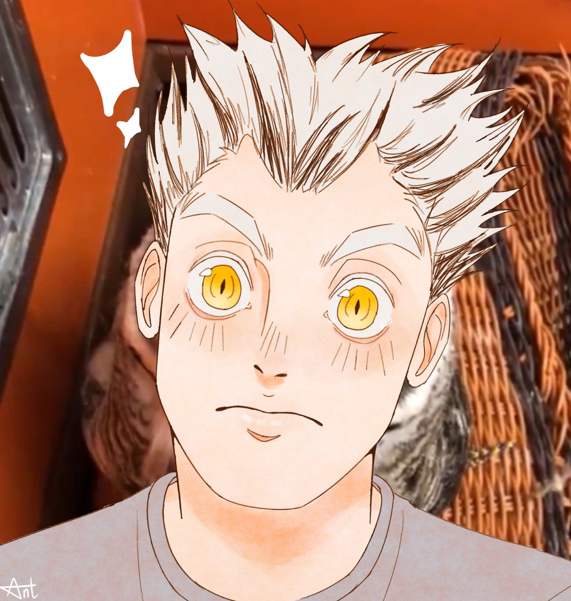 Ant 🦉⛸ tweet media