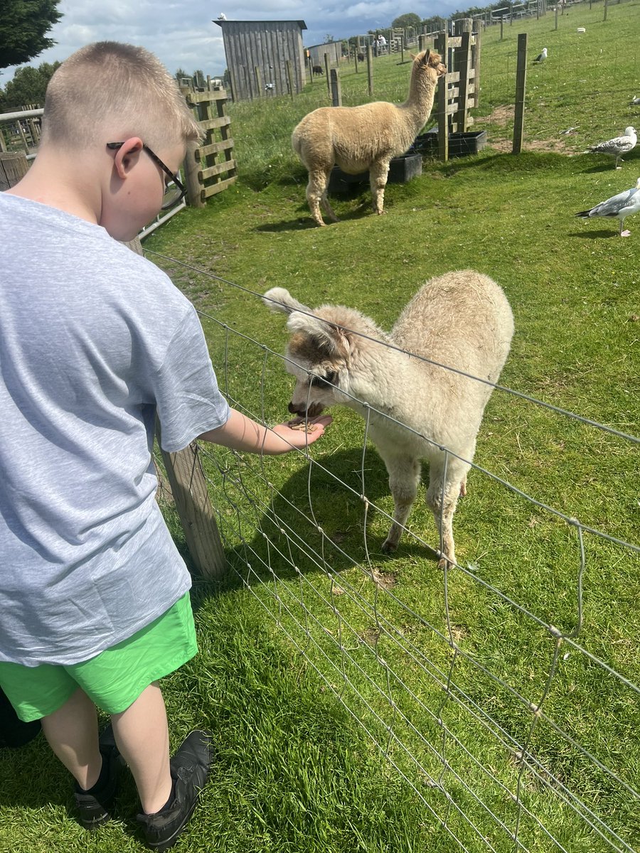 MarkKingRCF's tweet image. 🗓️DAY 8🗓️
KSS PARTNERS SUMMER PROGRAM 

Heads of Ayr Farm Park 🐷🦙🚜🧑‍🌾👨‍🌾
Lovely Lunch at cafe 🍽️ 🍕🧀
Hot Breakfast before the travel down 🍳🥞

@KnightswoodSec 
@RFC_Charity 
@Mollie_FARE 
@FARE_Scotland 
@GlasgowNWPolice 
@jamie57539237 
@KSS_Partners