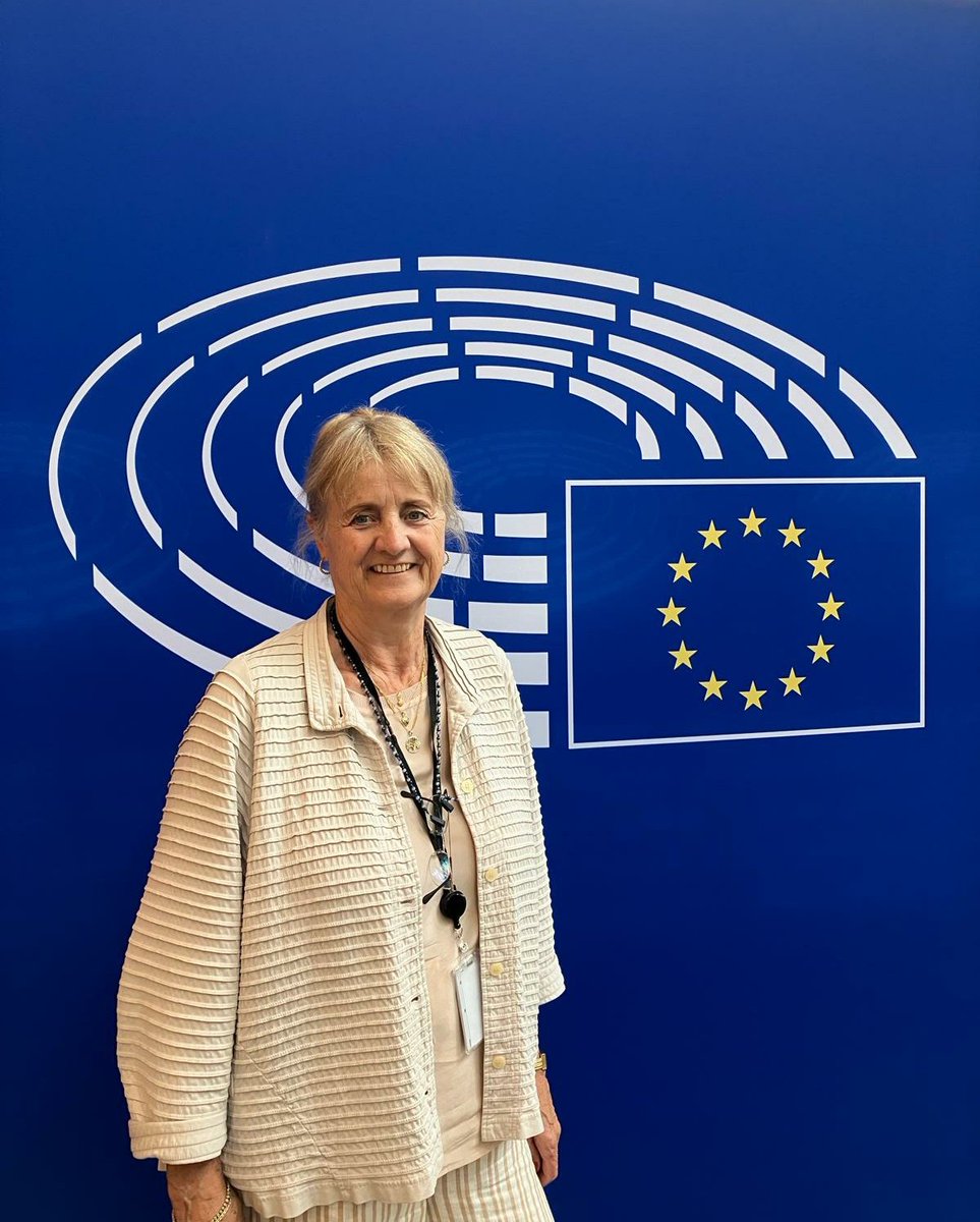 eucoalitions's tweet image. 👋 Our Chair, @CaroleTongue, at the @Europarl_EN introducing ECCD to new elected MEPs
#culturaldiversity #discoverability