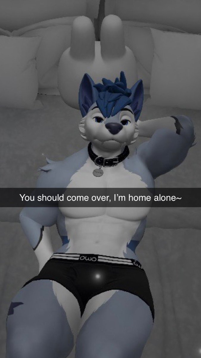 Dolphn 🌊 tweet media