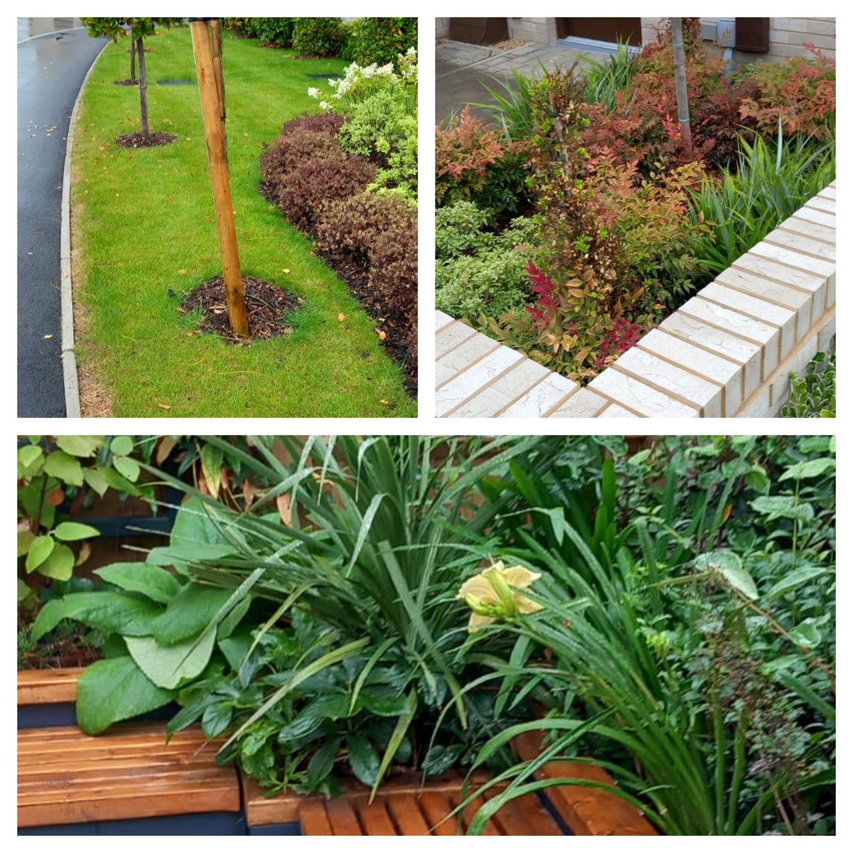 baines_ltd's tweet photo. Everything looks lush and green, but a very wet day.....

#rainydays #gardening #propertymaintenance https://t.co/ykWMtBjXhH