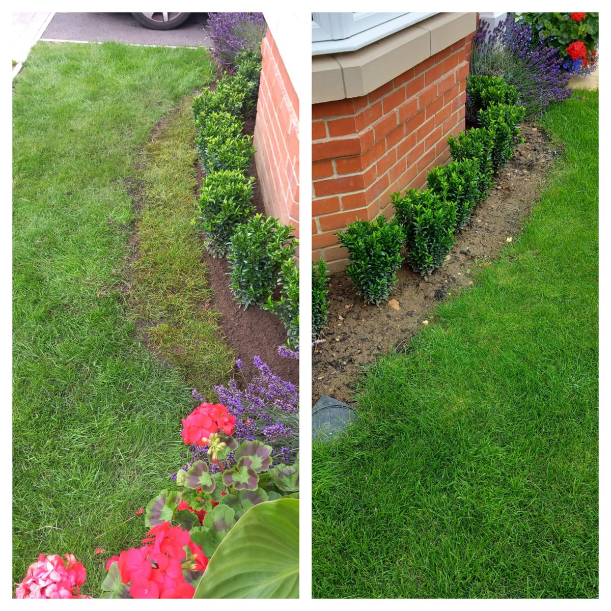 baines_ltd's tweet photo. Clients requested a larger border... and we delivered.

#gardening #sitemainteance #PropertyManagement https://t.co/1oqnCNQtvz