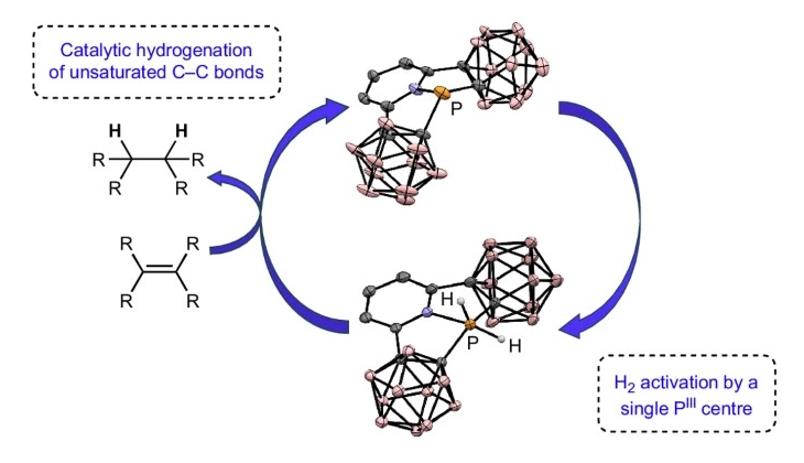 chemistrytau's tweet photo. "Hydrogen splitting at a single phosphorus centre and its use for hydrogenation"
Deependra Bawari, Donia Toami, Kuldeep Jaiswal and Roman Dobrovetsky
https://t.co/HLwjQDHWe6 https://t.co/Lzhk3XUNP3