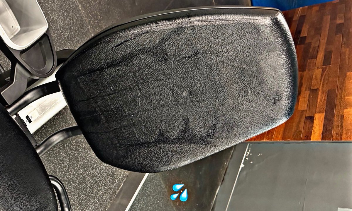 Mem •• 🐅 tweet media