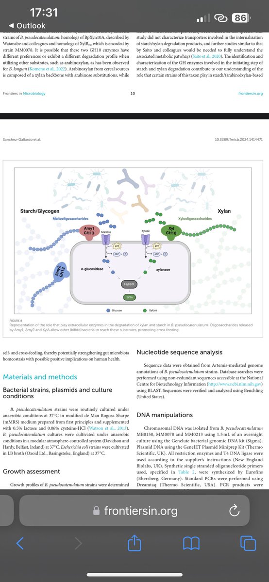 pauldcotter's tweet photo. Two nice outputs from our #MicrobeMom consortium this week. This one was led by Rocio Sanchez-Gallardo from the @VanSinderenLab with inputs from @FrAn_BottAcini @ProfFMcAuliffe @Mariaestorres and others @Pharmabiotic @teagasc @FrontMicrobiol
https://t.co/k9HCu9mgxc 1/2 https://t.co/HARCJjz3Yv