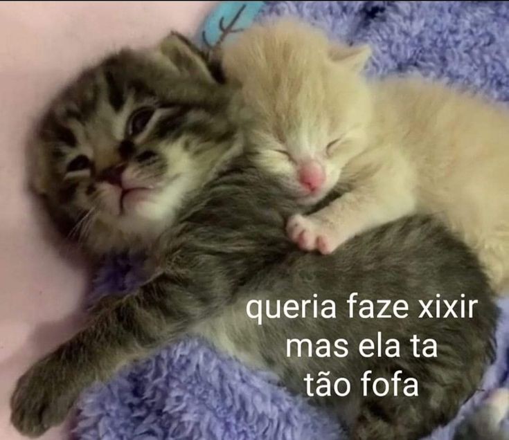 Memes para marcar ele(a) (@memeparaoarroba) on Twitter photo 