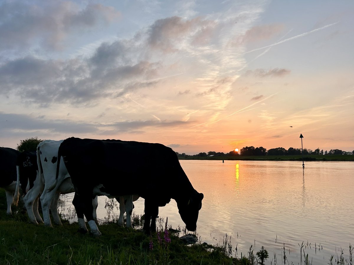 Nog een teug IJsselwater voor het slapen gaan. #geendagzonderdeijssel